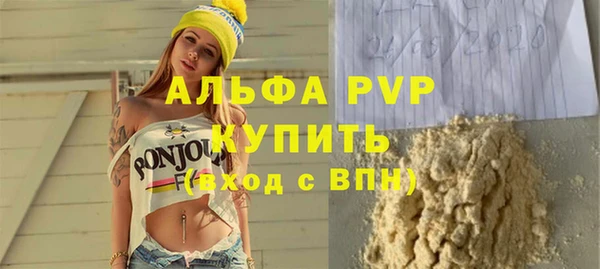 прущие грибы Заводоуковск