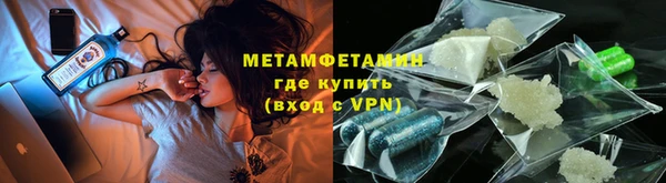 прущие грибы Заводоуковск