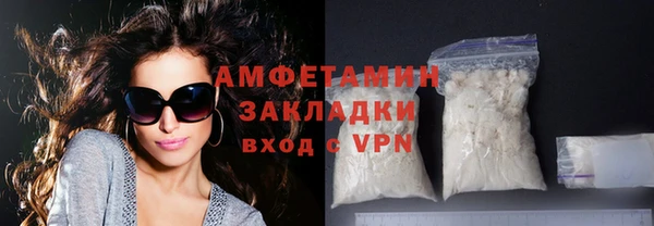 прущие грибы Заводоуковск