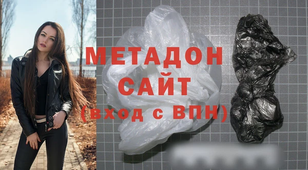 прущие грибы Заводоуковск
