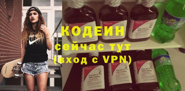 прущие грибы Заводоуковск