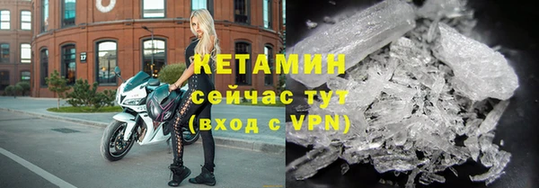 прущие грибы Заводоуковск
