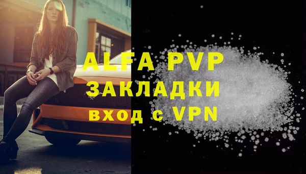 прущие грибы Заводоуковск