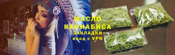 прущие грибы Заводоуковск