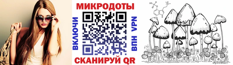 Купить  Елизово  Псилоцибиновые грибы GOLDEN TEACHER 